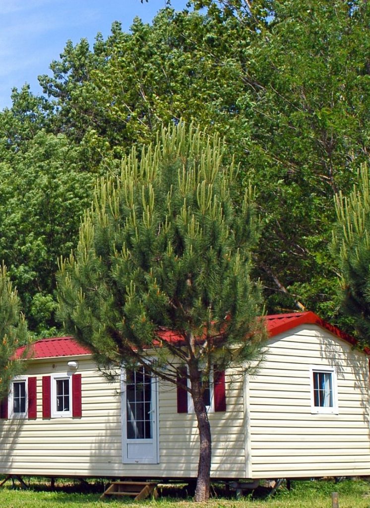 בית נייד עם עצים גבוהים מסביב כדוגמה מחברת CONTAIN